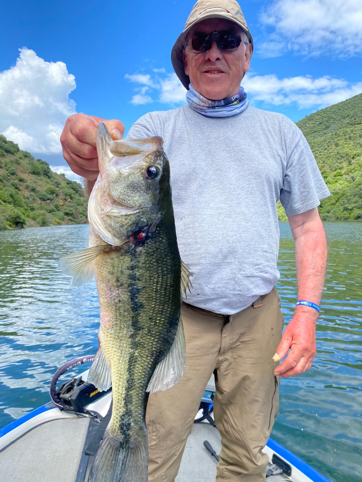 Moments de détente au bord de l'eau lors d'une session pêche
