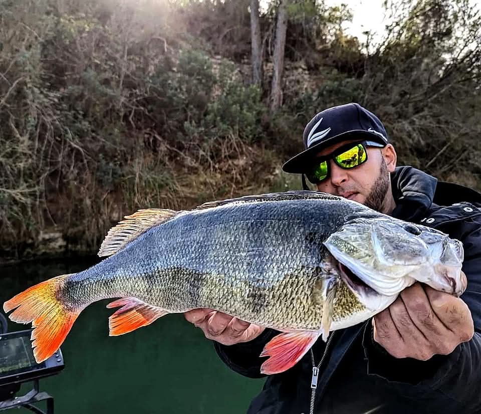 Animations et stages de pêche