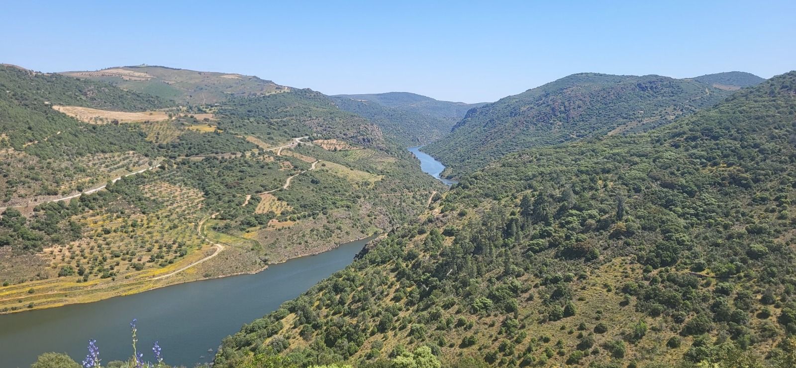 Pêche au Portugal - Douro