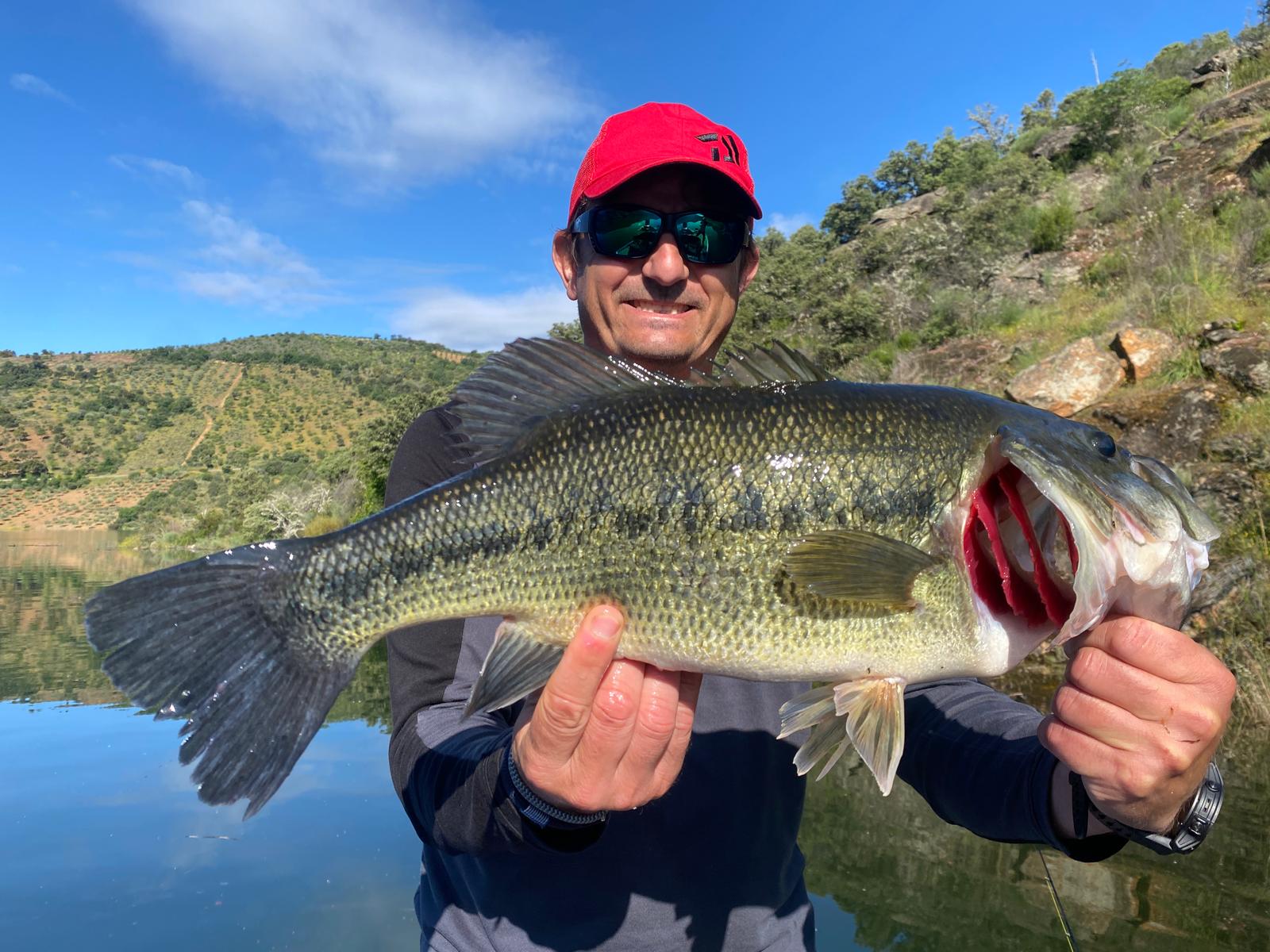 Belle prise du jour lors d'une session de pêche guidée